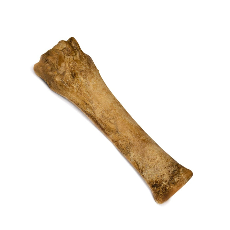 NYLABONE® Healthy Edibles Longer Lasting Bacon - Souper