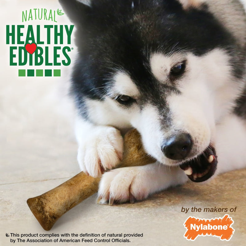 NYLABONE® Healthy Edibles Longer Lasting Bacon - Souper