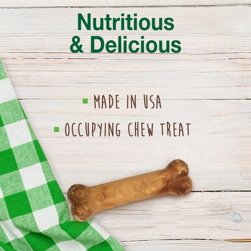 NYLABONE® Healthy Edibles Longer Lasting Bacon - Regular