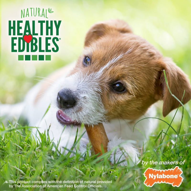 NYLABONE® Healthy Edibles Roast Beef-Chicken-Bacon - Regular
