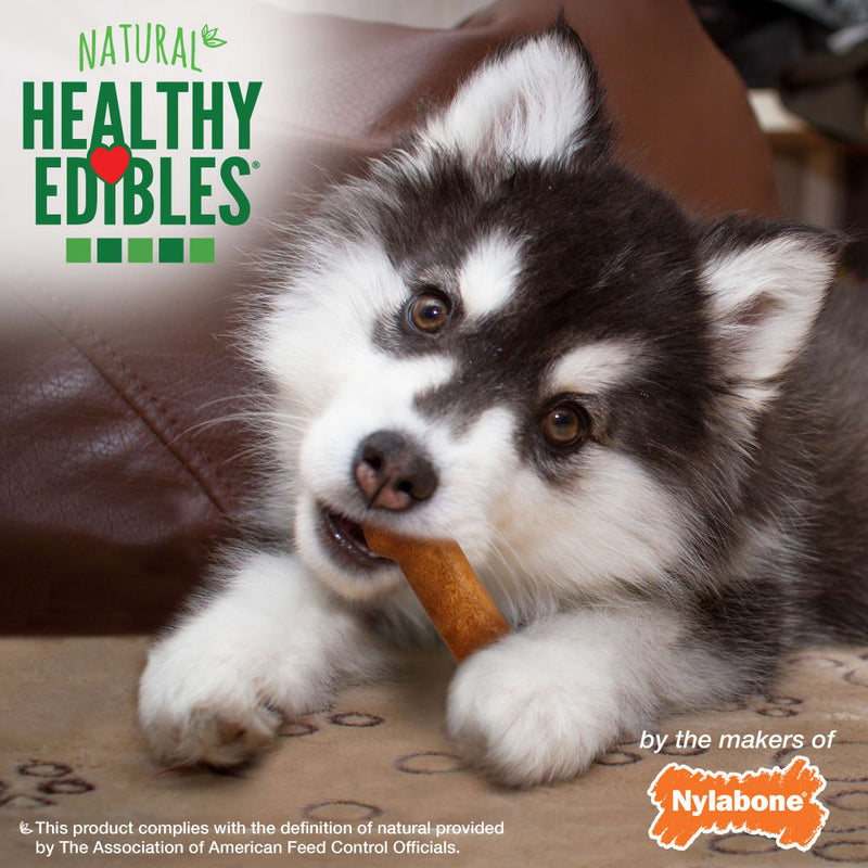 NYLABONE® Healthy Edibles Puppy Turkey & Sweet Potato - Petite