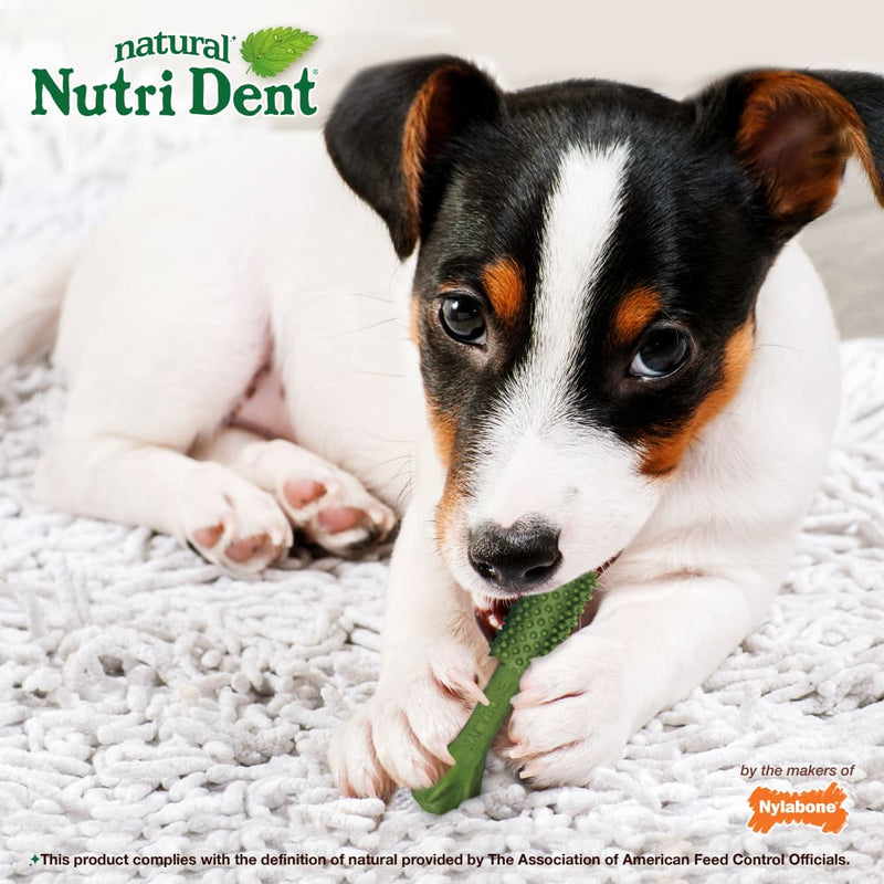 NYLABONE® Nutri Dent® Freshens Breath - Small