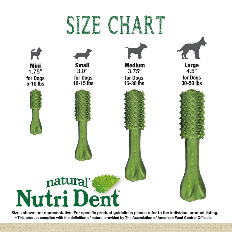 NYLABONE® Nutri Dent® Freshens Breath - Small