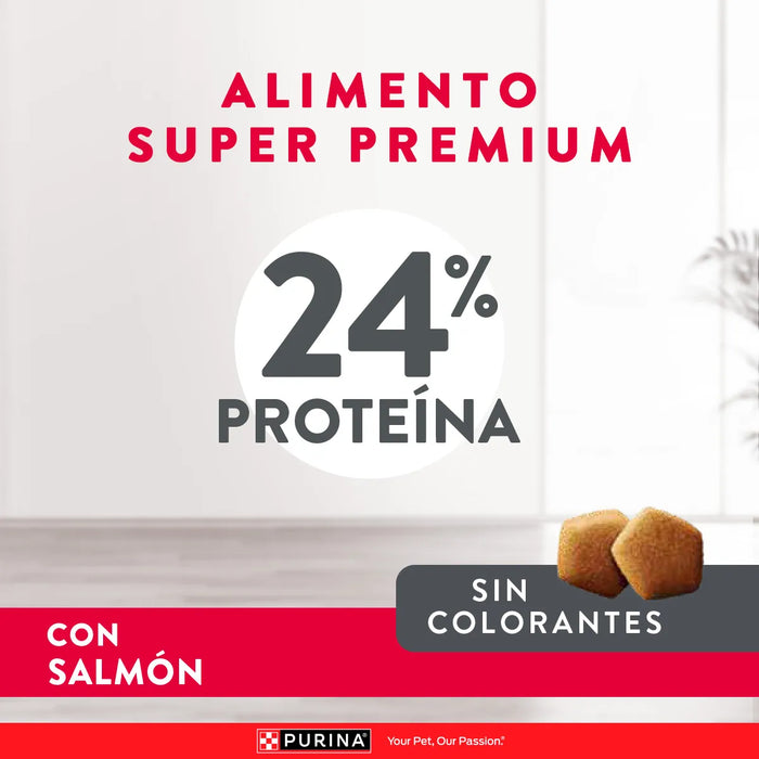 Purina Excellent Adulto Skin Care Salmón