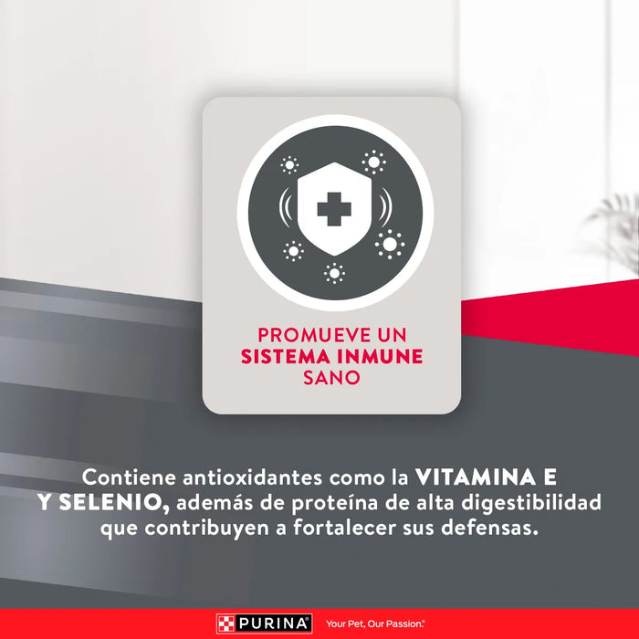 Purina Excellent Adulto Skin Care Salmón