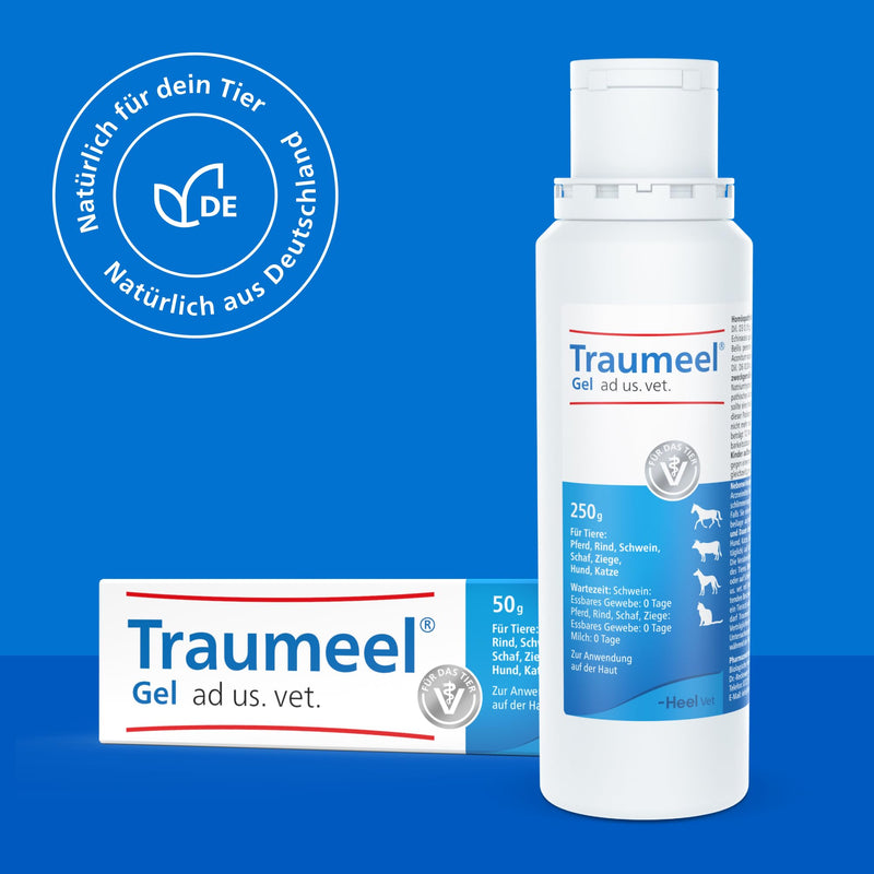Traumeel® Antiinflamatorio Gel