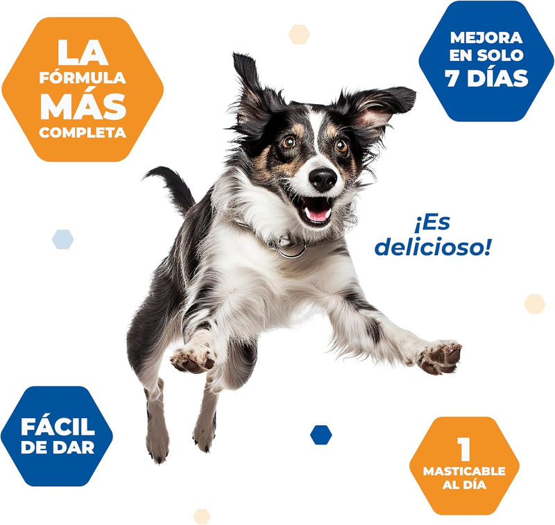 MOVOFLEX® Complemento Alimenticio Perros Medium (15 - 35 Kg)