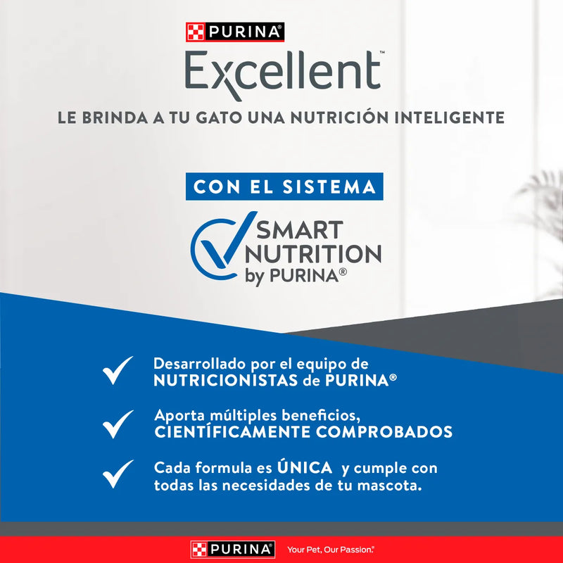 Excellent Gatos Esterilizados