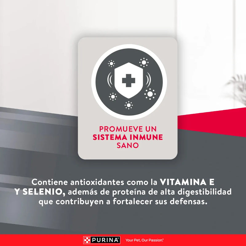 Purina Excellent Adultos Razas Medianas y Grandes