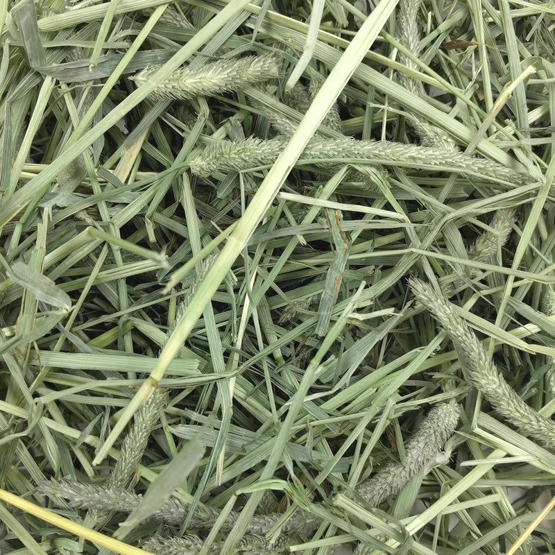 OXBOW® Western Timothy Hay -