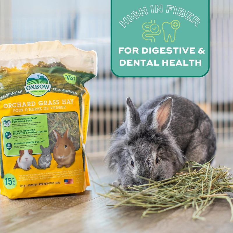 OXBOW® Orchard Grass Hay - Heno Hierba del Huerto