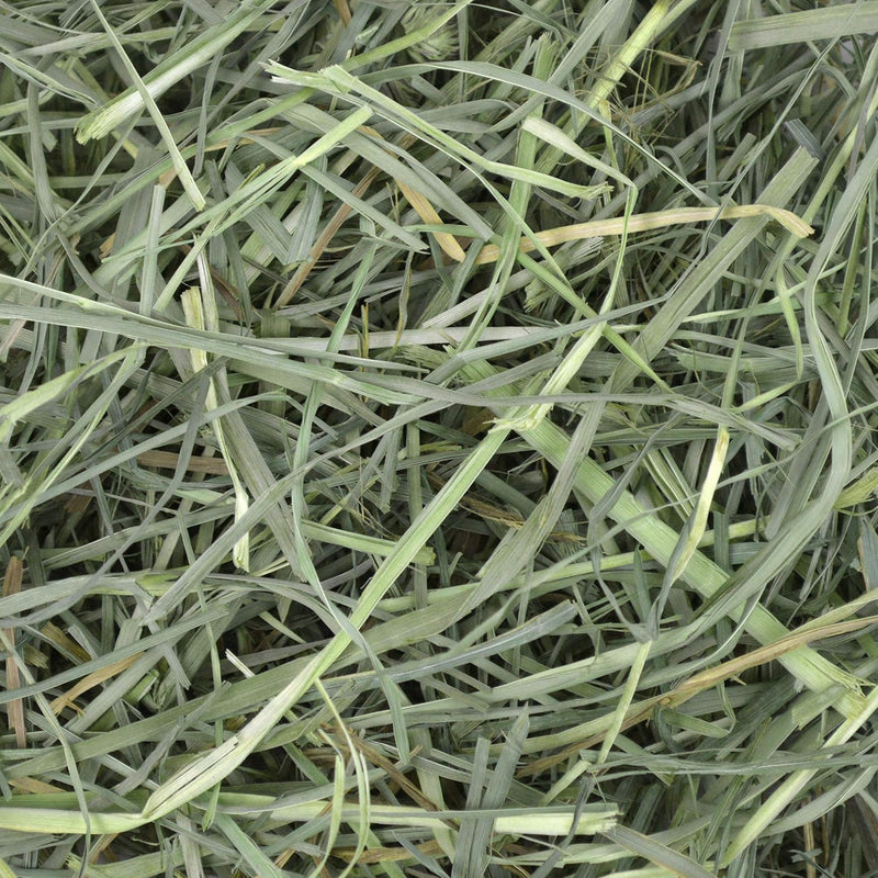 OXBOW® Orchard Grass Hay - Heno Hierba del Huerto
