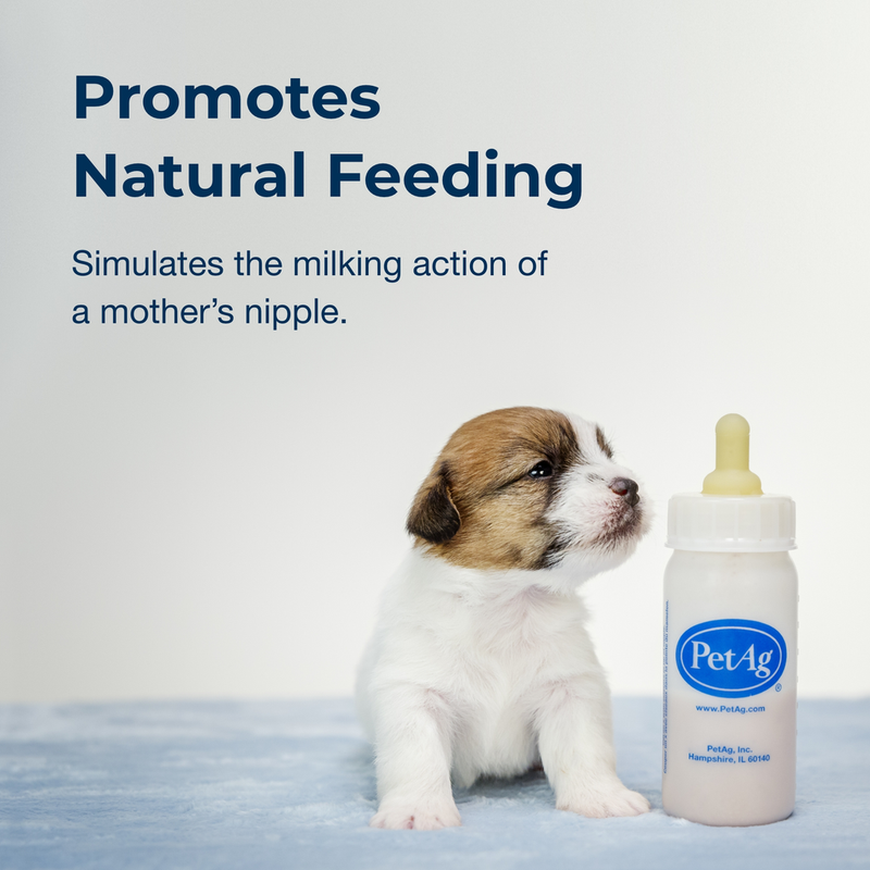 PetAg® Nurser Kit - Set completo de mamaderas