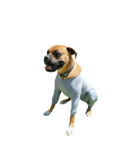 Body Cobre Perros Tallas Grandes