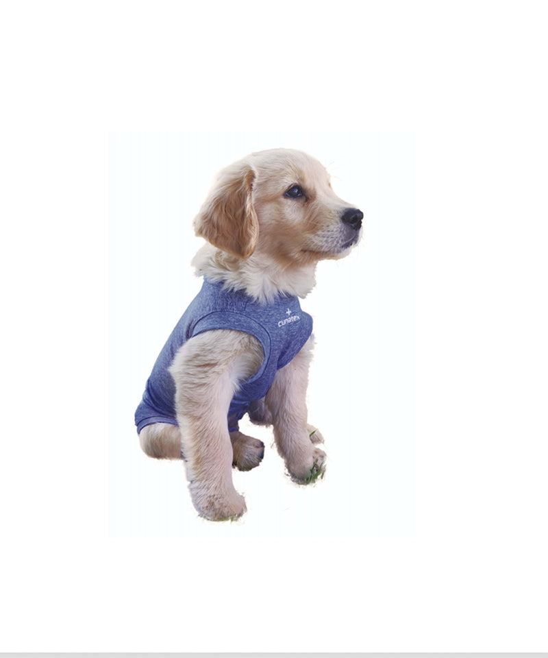 Body Cobre Perros & Gatos Azul
