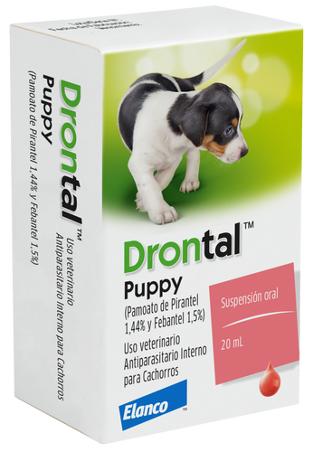 Drontal Puppy