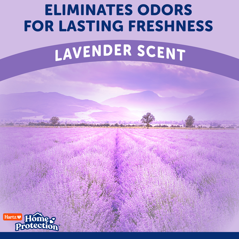 Hartz® Home Protection® XXL Odor Eliminating Dog Pads - Lavanda