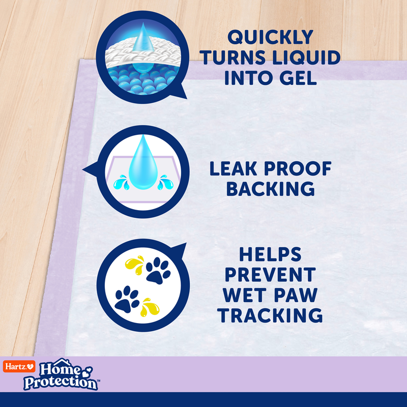 Hartz® Home Protection® XXL Odor Eliminating Dog Pads - Lavanda