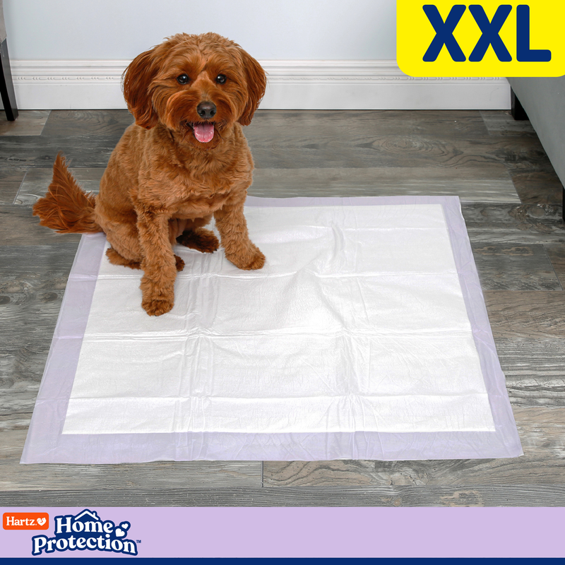 Hartz® Home Protection® XXL Odor Eliminating Dog Pads - Lavanda