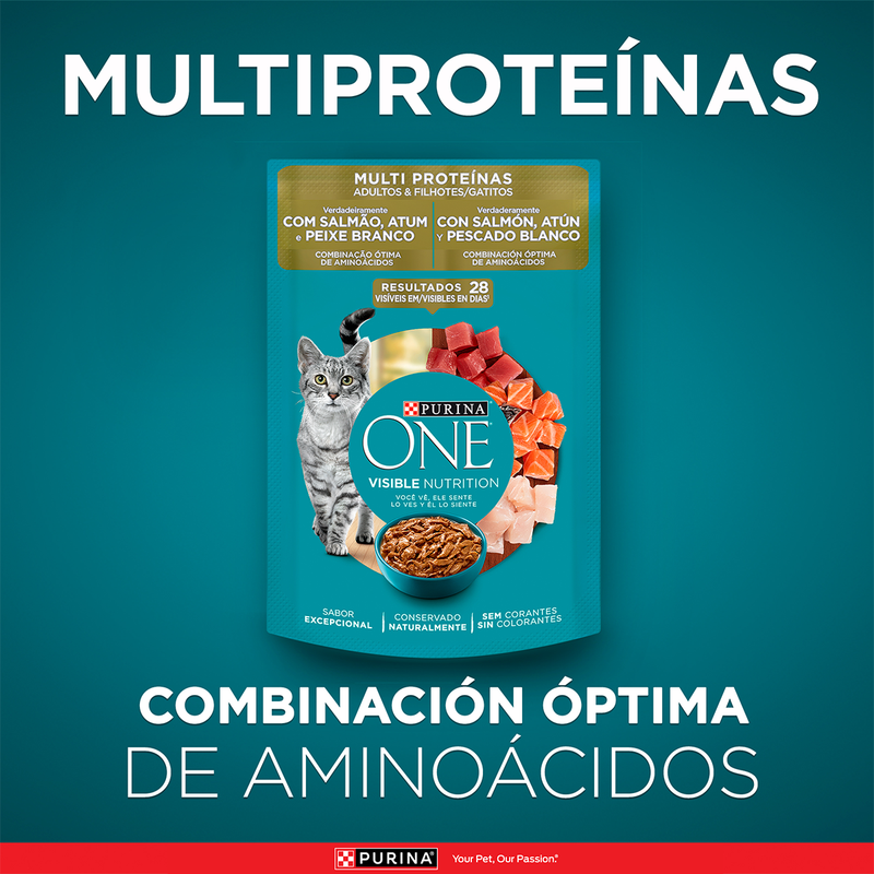 Purina ONE® multi proteínas gatos y gatitos de salmón, atún y pescado