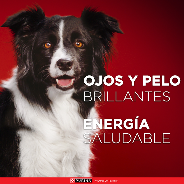 Purina One® super nutrientes perros adultos y cachorros con pollo