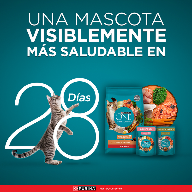 Purina ONE® Super nutrientes purina one gatos esterilizados de carne