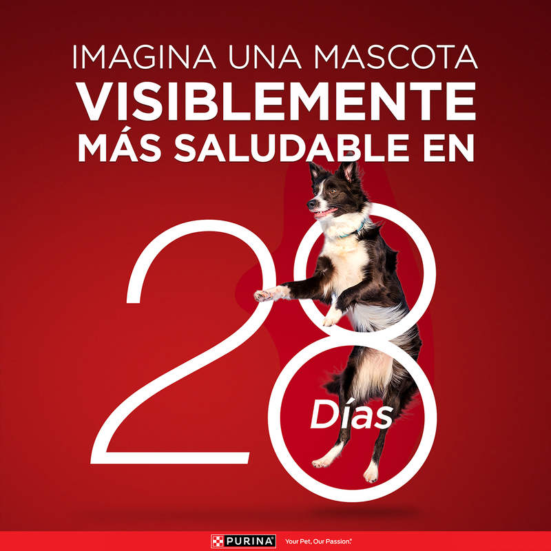 Purina One® Superfoods perros adultos y cachorros de salmón