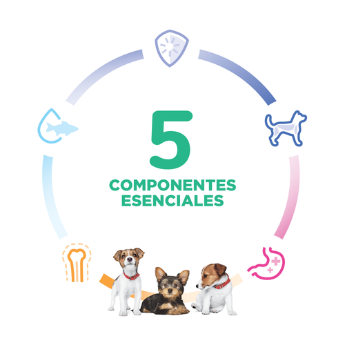 Science Diet® Small & Mini Puppy