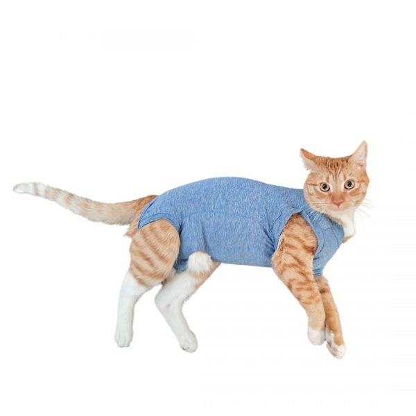 Body Cobre Perros & Gatos Azul