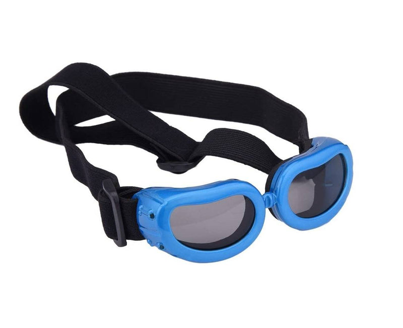Lentes para perros