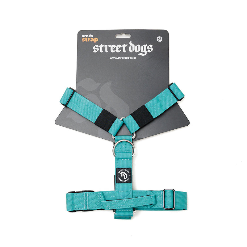 Arnes Strap Turquese