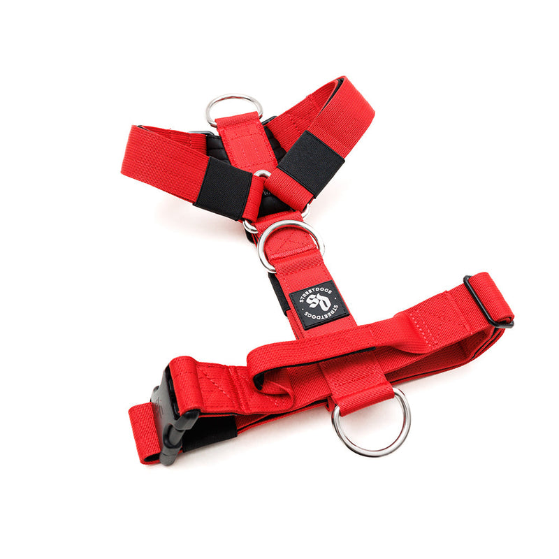 Arnes Strap Red