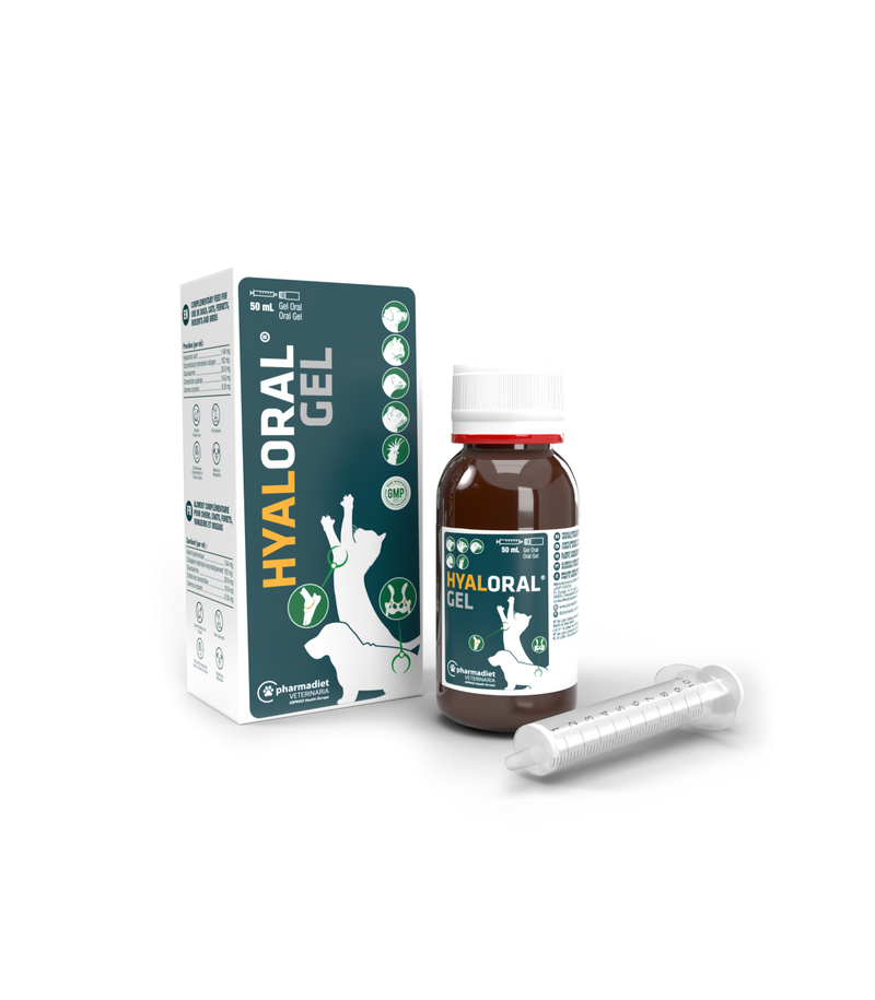 HYALORAL® Gel 50 ml