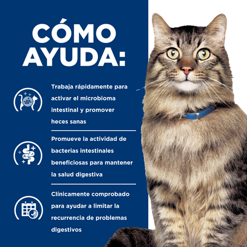 Prescription Diet® Gastrointestinal Biome Chicken Stew Gatos