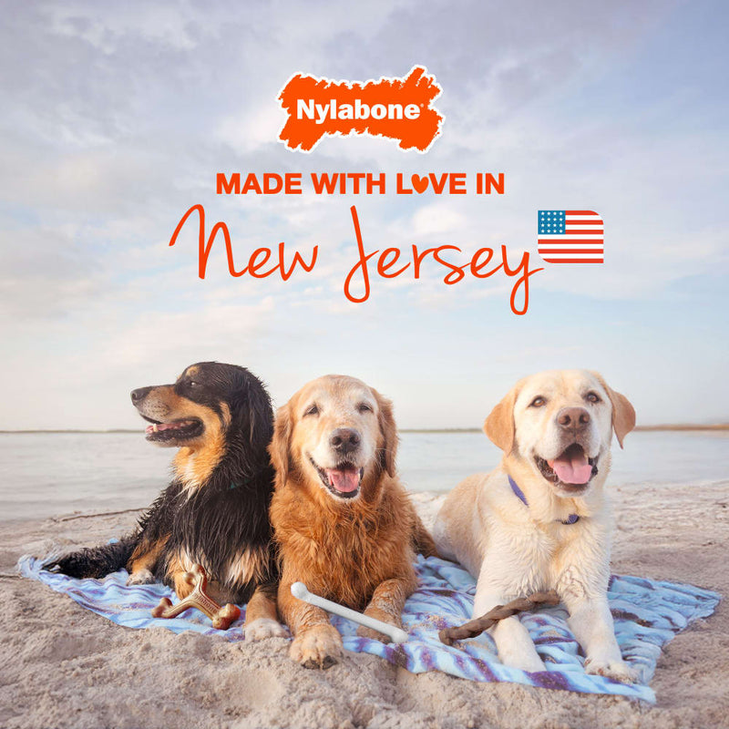 NYLABONE® Healthy Edibles Longer Lasting Bacon - Regular