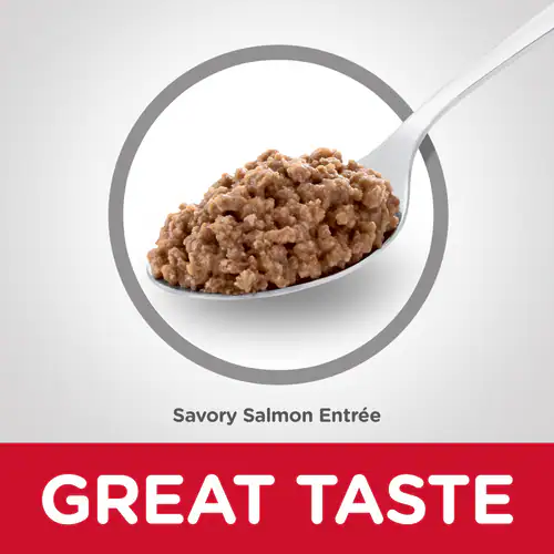 Science Diet® Adult Savory Salmon Entrée