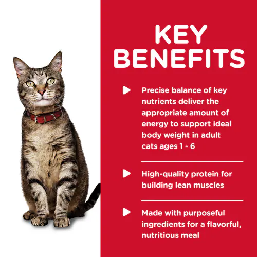 Science Diet® Adult Savory Salmon Entrée