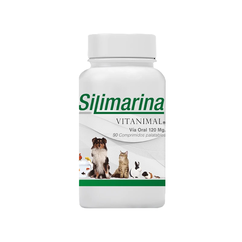 Silimarina 120mg Protector Hepático