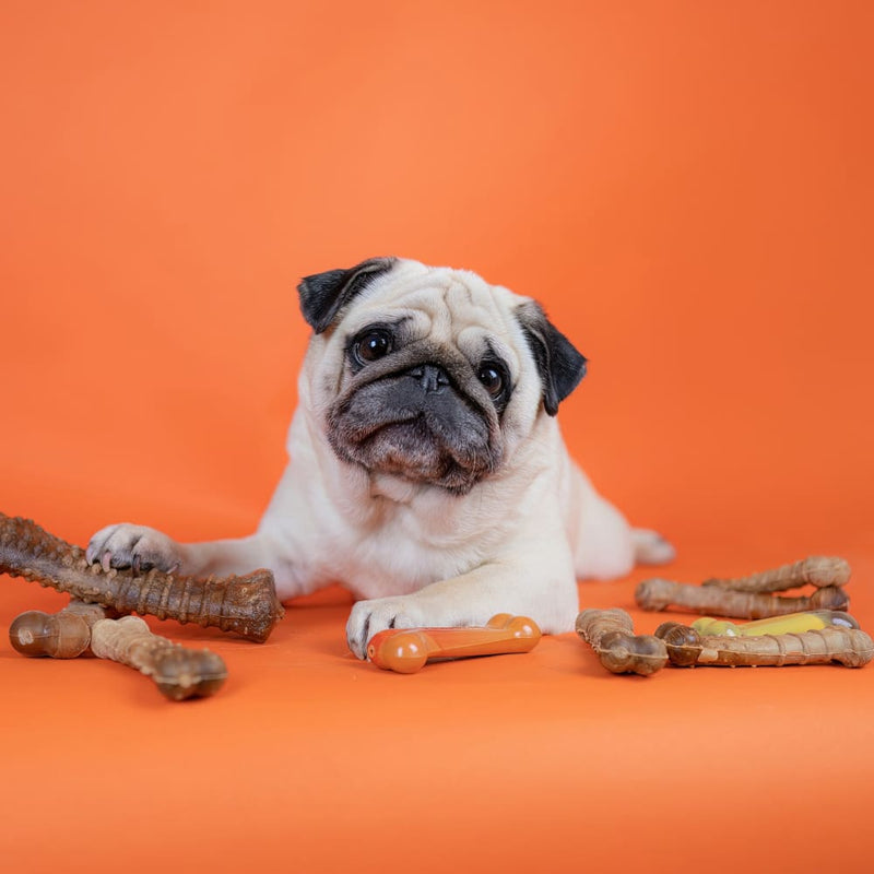 NYLABONE® Healthy Edibles Longer Lasting Bacon - Wolf
