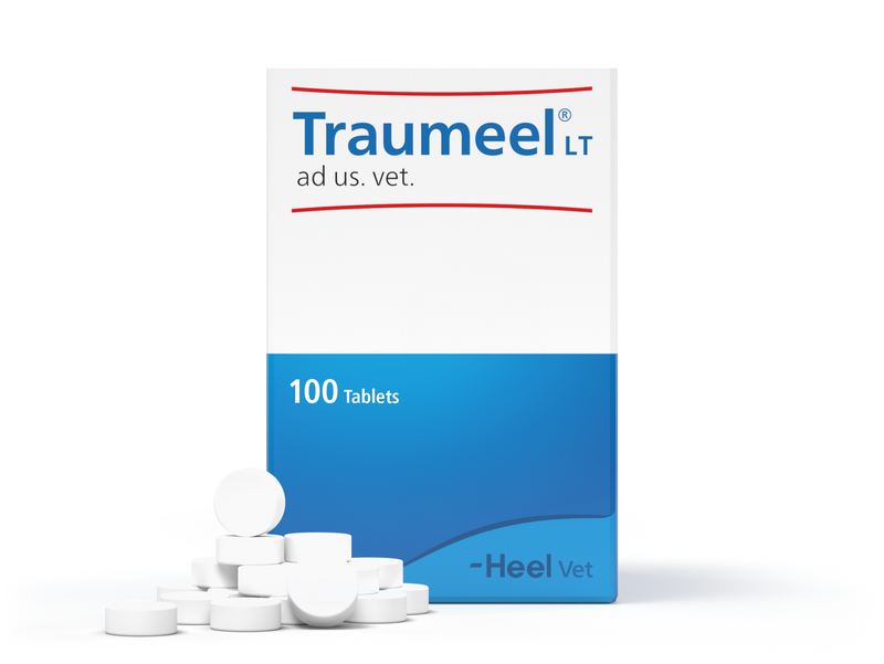 Traumeel® T Antiinflamatorio 100 comprimidos