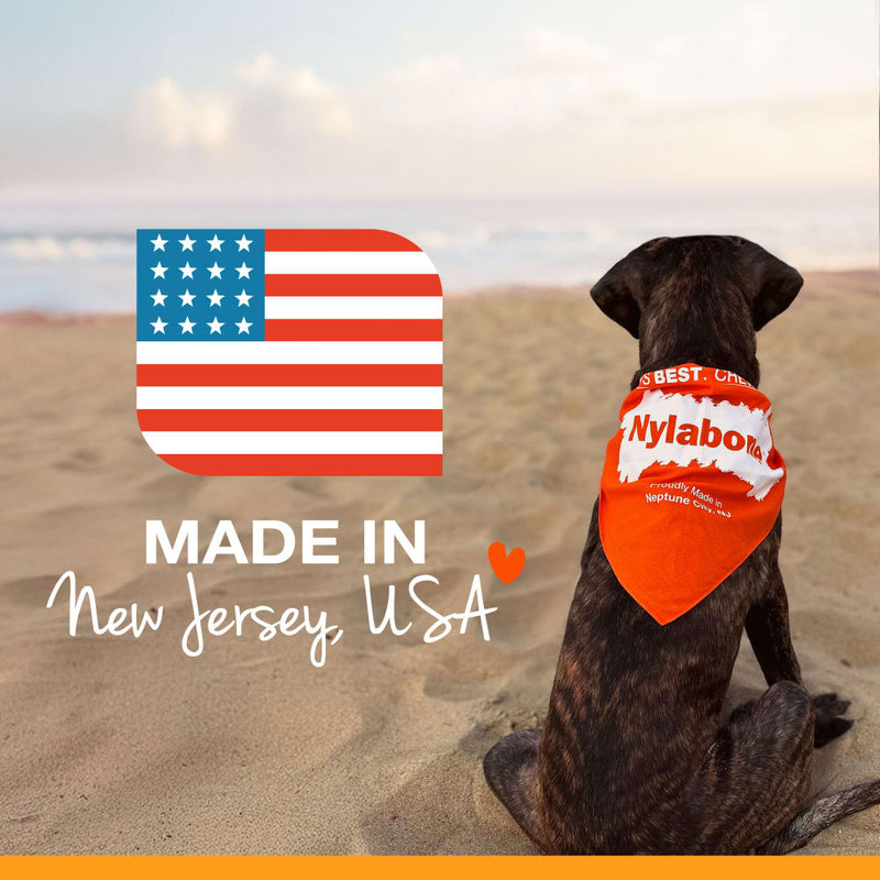 NYLABONE® Healthy Edibles Longer Lasting Bacon - Regular