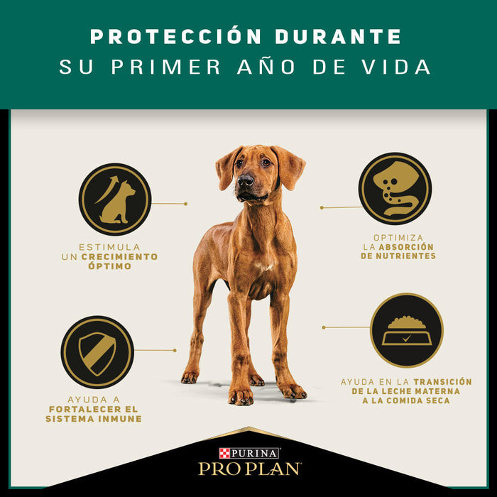 Pro Plan® Puppy Razas Grandes