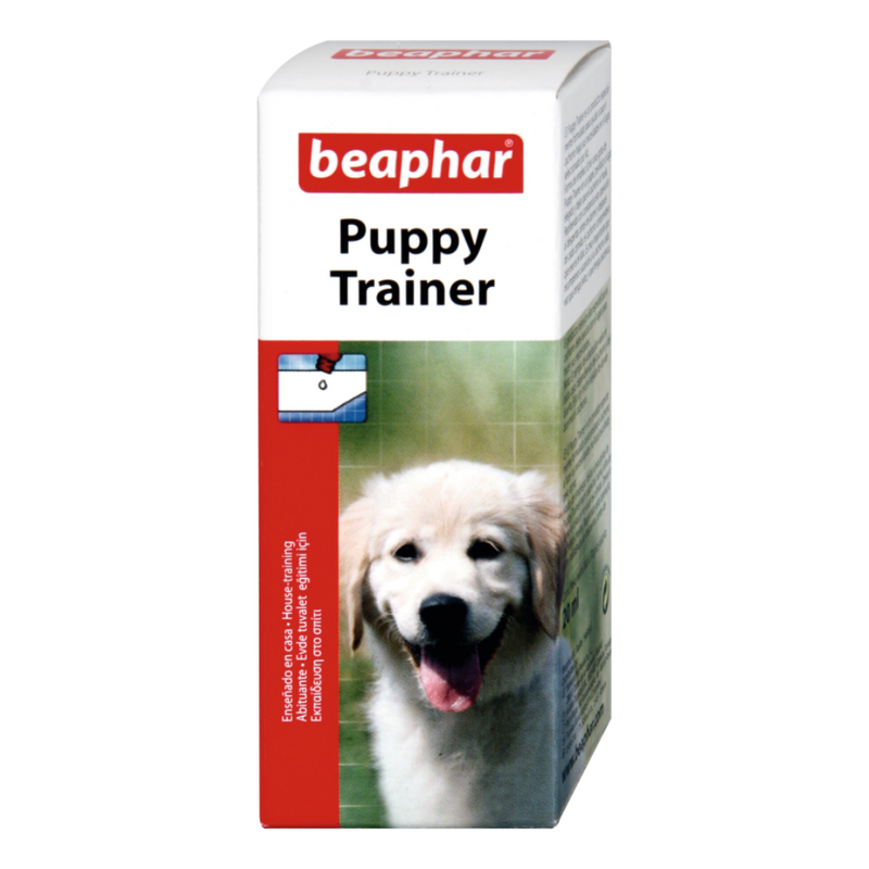 Puppy Trainer Perro