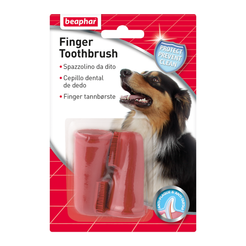 Dedal Dental Perros