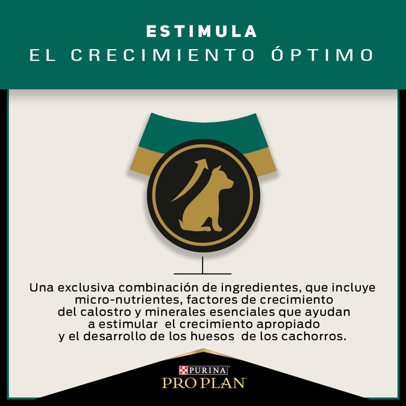 Pro Plan® Puppy Razas Grandes