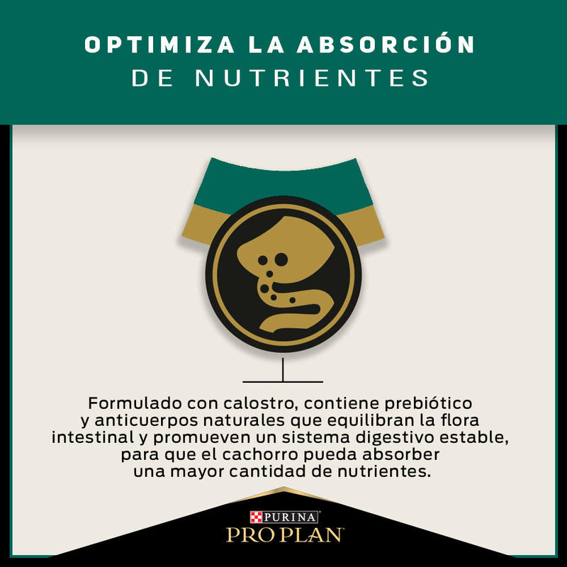 Pro Plan® Puppy Razas Grandes