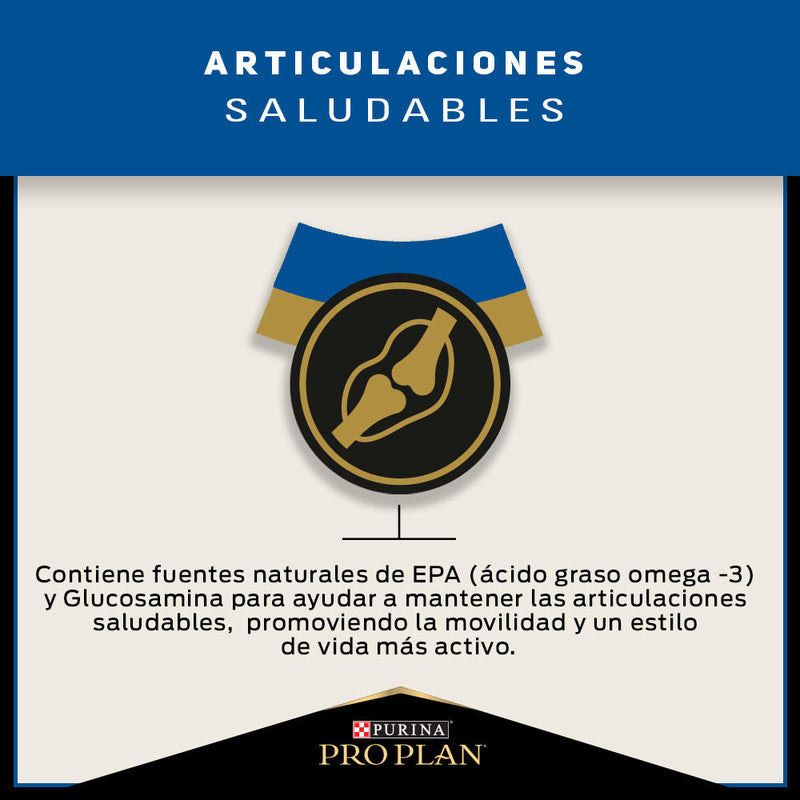 Pro Plan® Active Mind Razas Medianas y Grandes