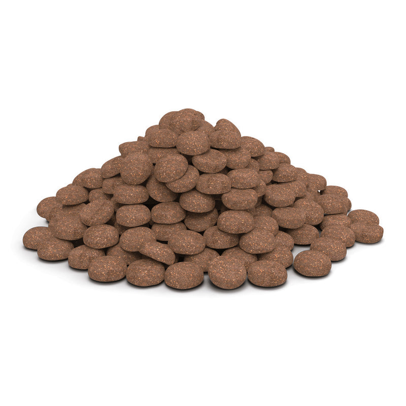 Veterinary HPM™ Dog Senior Large & Medium Neutered