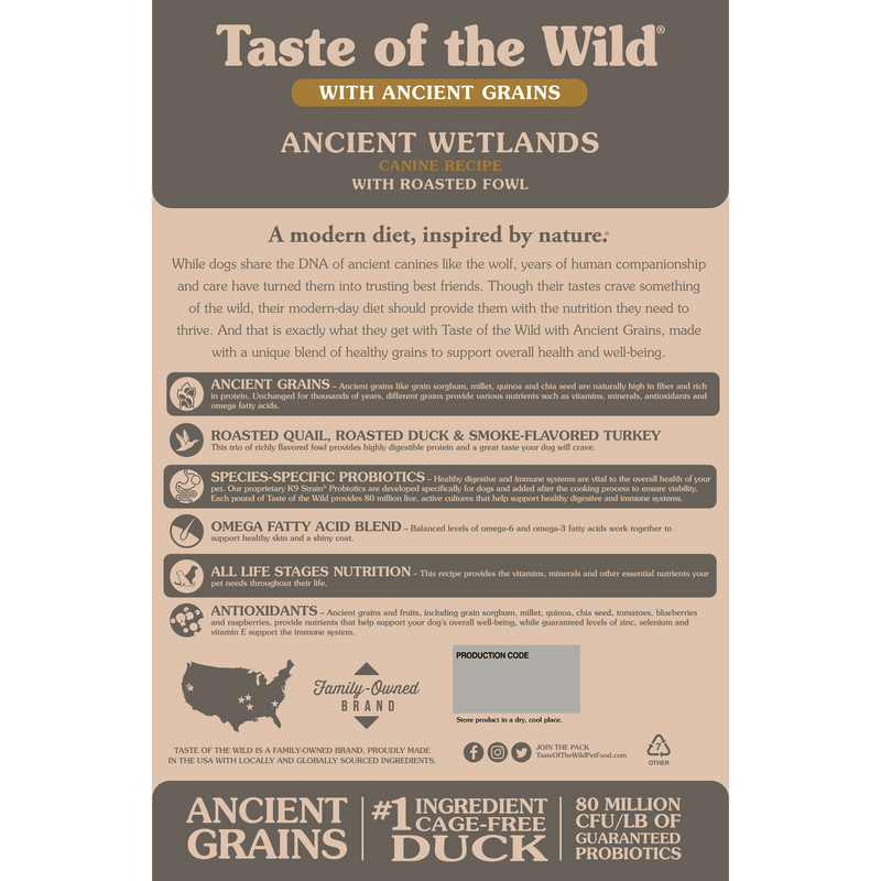Ancient Wetlands