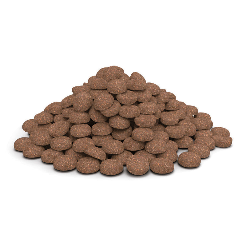 Veterinary HPM™ Dog Senior Large & Medium